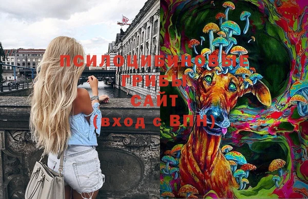 марки lsd Балахна